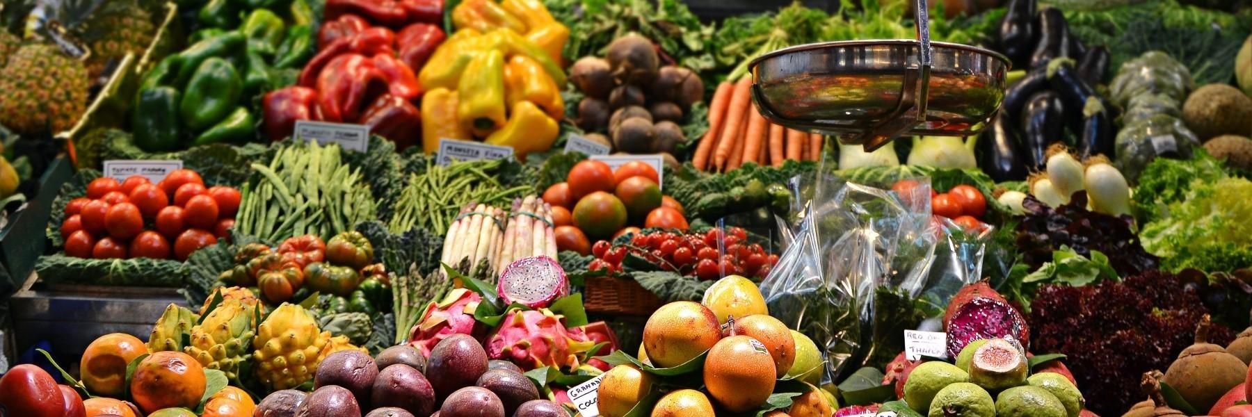 Nutrition and the Eyes | Optometrist